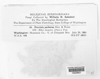 Image Associated With the Occurence